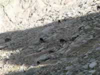 Korsika Bild 170